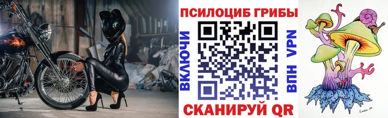 hydra зеркало  Фатеж  Галлюциногенные грибы Magic Shrooms  наркошоп 